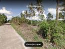 - ขายที่ดิน 70 ไร่ ต.ทุ่งคา อ.เมือง จ.ชุมพร