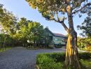 - ขายบ้านสวน พร้อมที่ดิน รวม 3 ไร่ บึงกาสาม อ.หนองเสือ จ.ปทุมธานี น้ำไม่ท่วม เจ้าของขายเอง