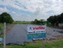 - ขายที่ดินแปลงสวย ทำเลดี พร้อมสร้างบ้าน แบ่งแปลง 218.5 ตร.ว. ถนน ไทรน้อย ต.บางบัวทอง อ.บางบัวทอง