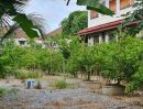  - ขายด่วน] ที่ดินแปลงใหญ่ 498 ตร.ว. พร้อมบ้านหลังใหญ่ ติดคลอง บรรยากาศร่มรื่น ย่านบางกรวย