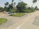 - ขายด่วน! ที่ดินทำเลทองตลิ่งชัน 5 ไร่เศษ ติดถนนบางเชือกหนัง