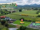 - ขายที่ดินวิวเขา 269.4 ตร.ว. หลังมิดวินเทอร์ หนองน้ำแดง ปากช่อง ใกล้ด่าน M6 ราคา 4.04 ล้าน ฟรีค่าโอน