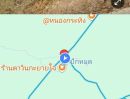 - ขายที่ดินชัยนาท 25 ไร่ 3 งาน 52 ตร.ว. อำเภอวัดสิงห์ ทำเลดี ติดถนน 2 ด้าน โฉนดครุฑแดง