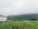 - ขายที่ดินหนองน้ำแดง ติดวิวเขาสวยบรรยากาศดี 10 ไร่ ใกล้ทางขึ้นมอเตอร์เวย์M6ด่านปากช่อง(ขาเขากทม.)เพียง 5 กม. อ.ปากช่อง จ.นครราชสีมา