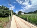 - ขายที่ดินหนองน้ำแดง ติดวิวเขาสวยบรรยากาศดี 10 ไร่ ใกล้ทางขึ้นมอเตอร์เวย์M6ด่านปากช่อง(ขาเขากทม.)เพียง 5 กม. อ.ปากช่อง จ.นครราชสีมา