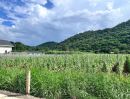 - ขายที่ดินหนองน้ำแดง ติดวิวเขาสวยบรรยากาศดี 10 ไร่ ใกล้ทางขึ้นมอเตอร์เวย์M6ด่านปากช่อง(ขาเขากทม.)เพียง 5 กม. อ.ปากช่อง จ.นครราชสีมา