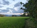 - ที่นา 1-2-64 ไร่ (สันกำแพง ใกล้ถนนตัดใหม่ จาก ม.พายัพ 150 เมตร)