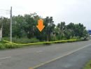 - ขายด่วน! ที่ดินแปลงมุม ทำเลทองพุทธมณฑล สาย 1 (ซอย 35)