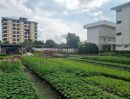 - ขายที่ดินทำเลดีเจ็ดยอดใกล้ Maya Lifestyle พร้อมโอน