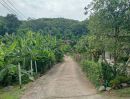 - ขายบ้านสวนบ้านพักตากอากาศ ติดน้ำบ้านปงหางดงพร้อมโอน