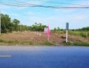 - ขายที่ดินหนองเสือน้ำไม่ท่วม #ขายที่ดินแปลงเล็กน้ำไม่ท่วม. #ขายที่ดินหนองเสือคลอง11ปทุมธานี ที่ดิน68.4 ตรว.ราคา 299,000บาท