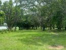 - ขายที่ดินผืนสวยติดแม่น้ำบางปะกง 24 ไร่ อ.บ้านโพธิ์ จ.ฉะเชิงเทรา