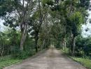 - ขายที่ดินผืนสวยติดแม่น้ำบางปะกง 24 ไร่ อ.บ้านโพธิ์ จ.ฉะเชิงเทรา