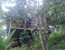  - ขายบ้านสวนกลางหุบเขาติดน้ำแควน้อยต้นน้ำผาภูมิพร้อมโอน