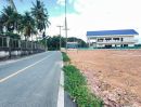  - ขายที่ดินติดถนนค้าขายได้ใกล้ตลาดป่าเหมือดสันทรายพร้อมโอน