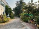- ขาย/ให้เช่า โรงงานขนาด 1,552 ตร.ม. ต.บางน้ำจืด อ.เมืองสมุทรสาคร จ.สมุทรสาคร