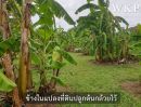 - ขายที่ดินติดถนนราชพฤกษ์ ใกล้ MRT บางรักน้อย-ท่าอิฐ เนื้อที่ 4 ไร่ 3 งาน 49 ตร.ว. นนทบุรี