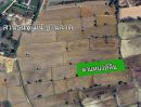 - ขาย ที่ดิน แปลงสวย ทำเลทอง ที่นา 3 ไร่ 28 ตารางวา | ต.บ้านหาด อ.บ้านลาด จ.เพชรบุรี