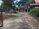  - ขายที่ดิน ใกล้ศูนย์ราชการจ.เชียงใหม่ 600 ม. ,ใกล้วัดพระนอน ดอนแก้ว