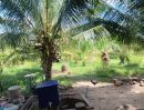 - ที่ดิน 9 ไร่ 2 งาน 54 ตารางวา ตำบลนาวังหิน อำเภอพนัสนิคม จังหวัดชลบุรี