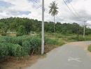- ขายที่ดินบางเสร่ 92 ตรว. ติดถนนลาดยางติดวิวเขาสวย ซ.เทศบาลเกล็ดแก้ว ใกล้ถนน332-1.7กม. อ.สัตหีบ ชลบุรี