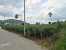 - ขายที่ดินบางเสร่ 92 ตรว. ติดถนนลาดยางติดวิวเขาสวย ซ.เทศบาลเกล็ดแก้ว ใกล้ถนน332-1.7กม. อ.สัตหีบ ชลบุรี