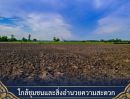  - ขายที่ดิน 11 ไร่ 2 งาน 55 ตารางวา ต.พลับพลาไชย อ.อู่ทอง จ.สุพรรณบุรี ติดถนนคอนกรีต หน้ากว้าง 168 เมตร ราคา 4,087,500 บาท