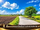  - ขายที่ดิน 11 ไร่ 2 งาน 55 ตารางวา ต.พลับพลาไชย อ.อู่ทอง จ.สุพรรณบุรี ติดถนนคอนกรีต หน้ากว้าง 168 เมตร ราคา 4,087,500 บาท