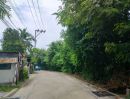 - ที่ดินบางรักน้อย 245.7 ตร.ว(ยังไม่ถม) *หน้ากว้างติดถนนซอย 24 ม. ลึก 40ม.