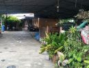 - ขายบ้านเดี่ยวชั้นเดียว ที่ดินผืนใหญ่ 212 ตร.ว. ซอยสุวินทวงศ์ 36 เขตมีนบุรี กรุงเทพ