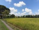 - ที่นา 8-0-11 ไร่ (สันกำแพง โฉนดรวม 5 แปลง สามารถซื้อแยกได้)