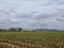 - ที่ดินแปลงสวยศรีราชา เขาคันทรง โอกาสดีสำหรับนักลงทุน