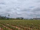 - ที่ดินแปลงสวยศรีราชา เขาคันทรง โอกาสดีสำหรับนักลงทุน