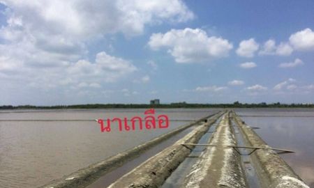 ขายที่ดิน - ขายด่วน ที่ดินนาเกลือ 74 ไร่ติดถนน ต.บ้านแหลม อ.บ้านแหลม จังหวัดเพชรบุรี ขายถูก ราคา75ล้านบาท