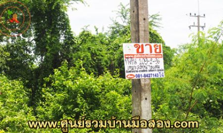 ขายที่ดิน - ขายด่วนที่ดินลพบุรี 109 ไร่ 2 งาน 96 ตารางวา ตำบลยางโทน อำเภอหนองม่วง ลพบุรี