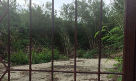ขายที่ดิน - ขายที่ดิน ติดทะเลสาบ โครงการ 5 เมืองทองธานี พื้นที่ 526 ตรว ปากเกร็ด นนทบุรี