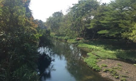 ขายที่ดิน - ที่ดินติดแม่น้ำเพชรบุรี 3 ไร่เศษ วิวสวย ลงเล่นน้ำได้