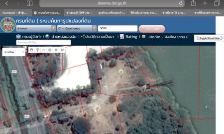 ขายที่ดิน - ขายที่ดิน จังหวัดอ่างทอง หน้าติดถนน3501. หลังติดแม่น้ำเจ้าพระยา