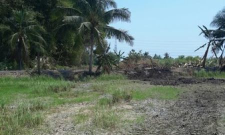 ขายที่ดิน - ขายที่ดิน ติดถนน ขุมทอง-ลำต้อยติ่ง ตรงข้ามหมู่บ้าน อารียาโคโม่ ลาดกระบัง