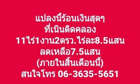 ขายที่ดิน - ที่สวยไม้ไผ่ตง 11ไร่1งาน02ตรว. ไร่ละ8.5แสนบาท ลดเหลือไร่ละ7.5แสน ภายในสิ้นเดือนนี้