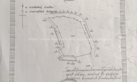 ขายที่ดิน - ขายที่ดินติดถนนใหญ่ ใกล้สี่แยกสันกลาง ด้านหลังติดแม่น้ำคาว