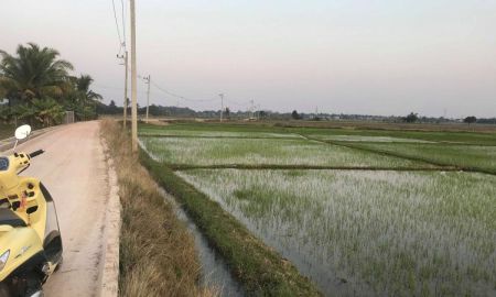 ขายที่ดิน - ที่ดินสันผีเสื้อ3 ที่ดินสวย จัดสรรได้ บรรยากาศท้องทุ่งในเขตเมือง