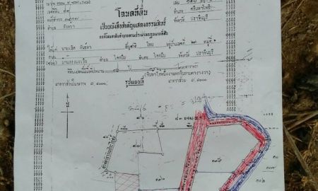 ขายที่ดิน - ขายที่ดิน​ ใกล้นิคมโรจนะ​ จังหวัด​ปราจีนบุรี​