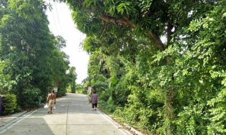 ขายที่ดิน - ขายด่วนสวนทุเรียนเมืองนนทบุรี 9 ไร่