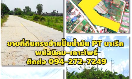 ขายที่ดิน - เจ้าของรีบขาย ชีวิตแสนสาหัส ดอกเบี้ยเงินฝากตํ่าเตี้ยติดดิน แถมยังต้องมาเสียภาษีที่ดินอีก เซ็ง!