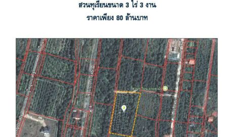 ขายที่ดิน - ขายสวนทุเรียนนนทบุรี มีทุเรียนพันธุ์ หมอนทอง ก้านยาว 128 ต้น