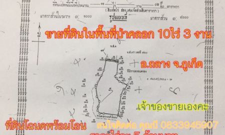 ขายที่ดิน - ขายด่วนที่ดินเห็นวิวทะเล ป่าคลอก ภูเก็ต