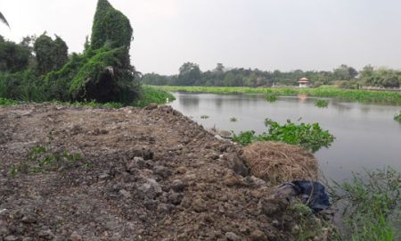 ขายที่ดิน - ที่ถมแล้วทั้งแปลง ติดทางติดแม่น้ำท่าจีน 70 เมตร ด้านข้างติดคลองยาว 3 ไร่