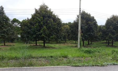 ขายที่ดิน - ขายสวนทุเรียนเต็มพื้นที่ ที่ดินเนื้อที่ 96 ไร่ Sell durian garden, full area Land area 96 ra