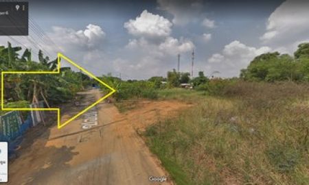 ขายที่ดิน - ขายที่ดินถมแล้ว คลอง3 ธัญบุรี-ลำลูกกา 200 ตรว พื้นที่สีเหลือง เหมาะทำโกดัง ปลูกบ้าน ใกล้แหล่งชุมชน